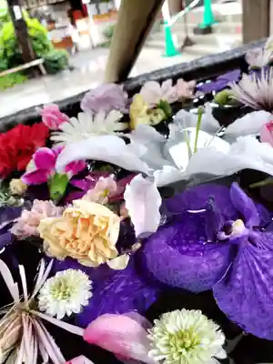 鳩森八幡神社の手水舎