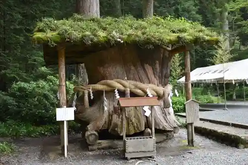 小國神社の自然