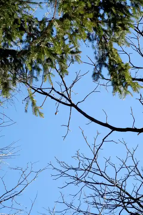 帯廣神社の動物