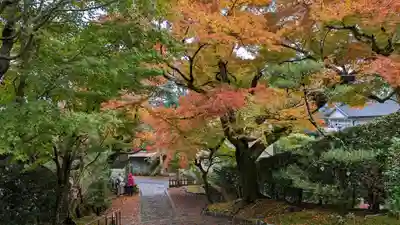 安楽寺(京都府)