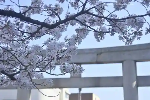 三嶋大社(静岡県)