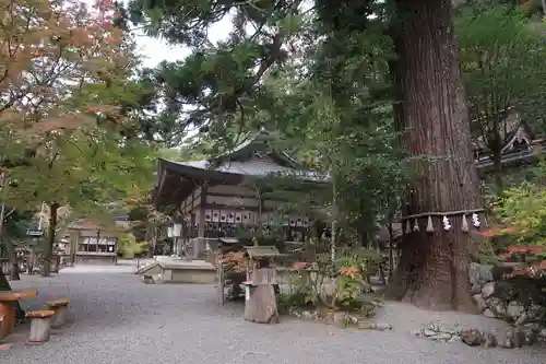 丹生川上神社（中社）(奈良県)