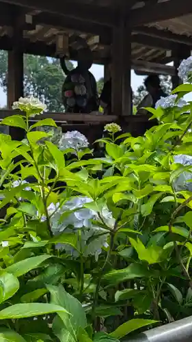 善峯寺(京都府)