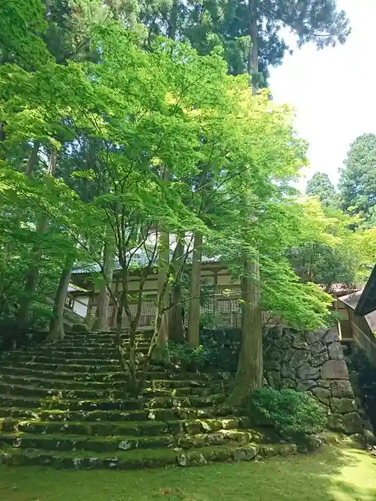 吉峰寺(福井県)