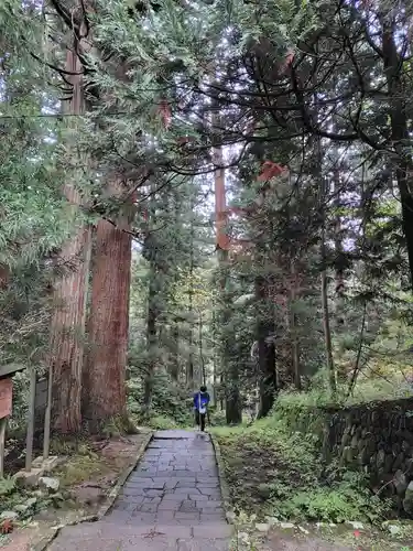 羽黒山五重塔(出羽三山神社)(山形県)