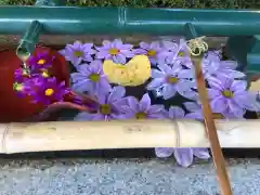 伊和志津神社の手水