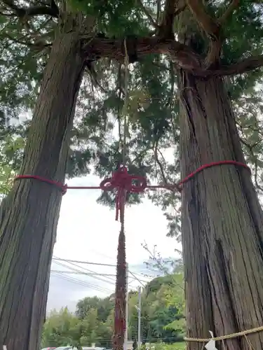 武雄神社の自然