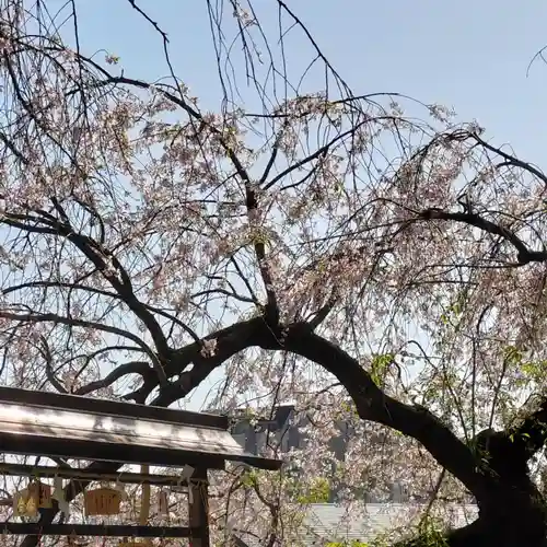 根岸八幡神社(神奈川県)