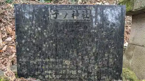 子ノ神社(東京都)