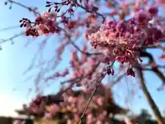 湯島天満宮(長野分社)(長野県)