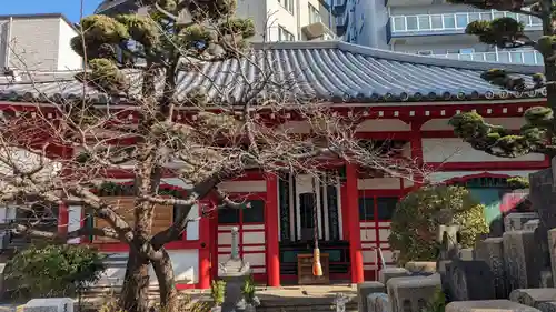 真光院の本殿・本堂