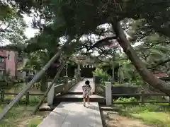 三条八幡宮の自然