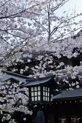 三嶋大社(静岡県)