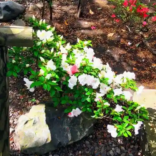 彌彦神社　(伊夜日子神社)の庭園
