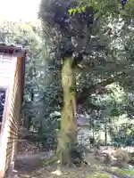 散田天神社(石川県)