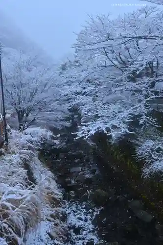 茶湯寺(神奈川県)