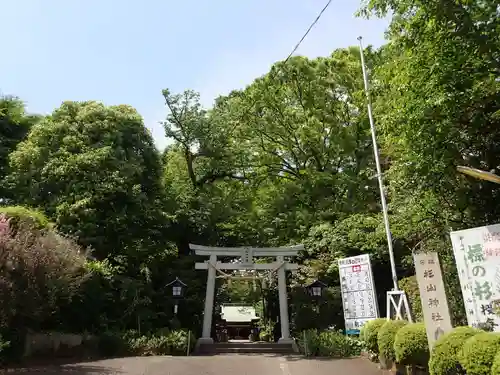 星川杉山神社の鳥居