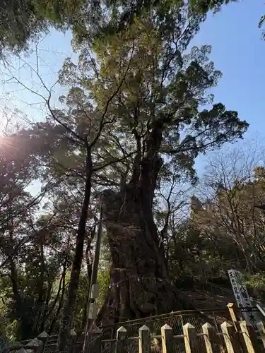 柞原八幡宮(大分県)