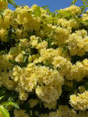 大慈寺(福島県)