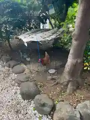 宝蔵院の動物