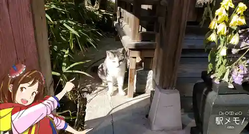 瀧泉寺（目黒不動尊）の動物