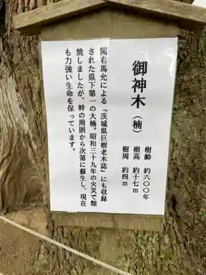 常陸國總社宮のその他建物