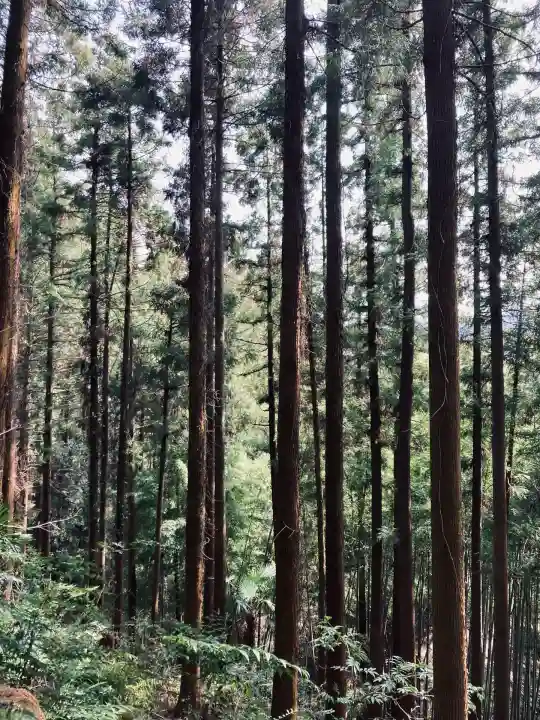 三内神社(東京都)