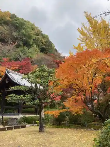三室戸寺(京都府)
