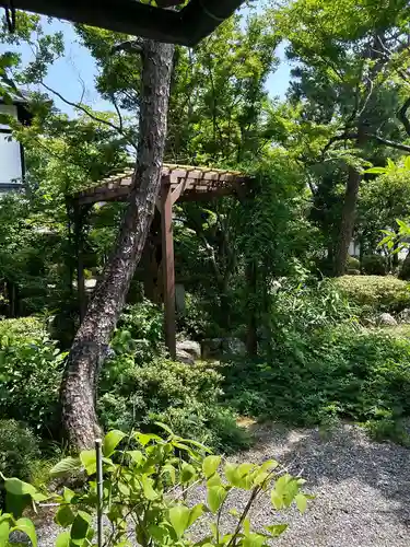廬山寺（廬山天台講寺）(京都府)