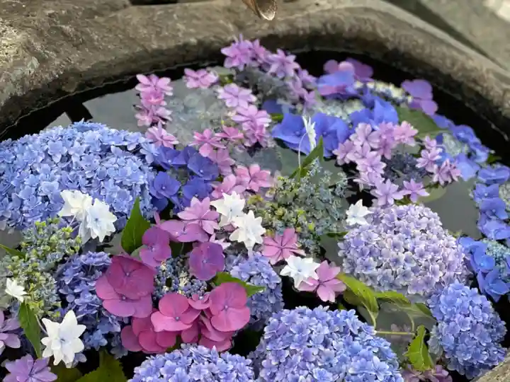 円通寺の手水舎