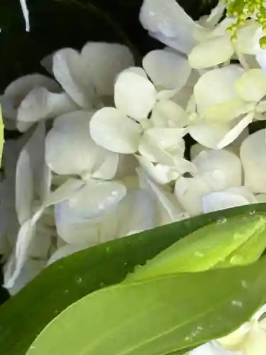 上尾御嶽神社(埼玉県)