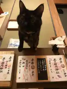 五十稲荷神社(栄寿稲荷神社)の動物(2021年12月11日(土) 01時38分31秒投稿)