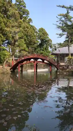 金剛證寺の庭園