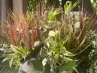 富知六所浅間神社の自然