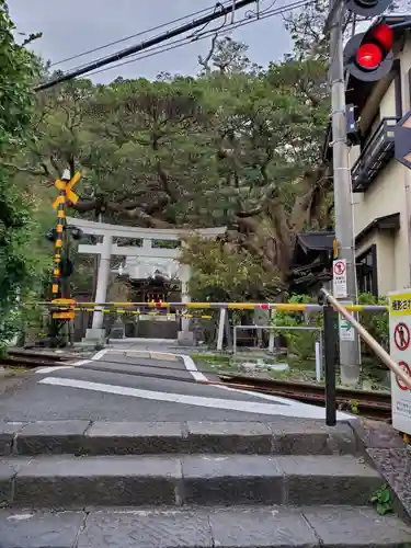 御霊神社の鳥居