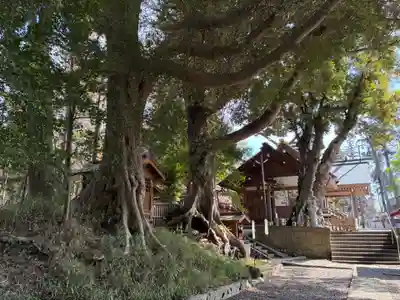 塚崎神明社(千葉県)