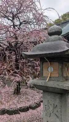 城南宮(京都府)