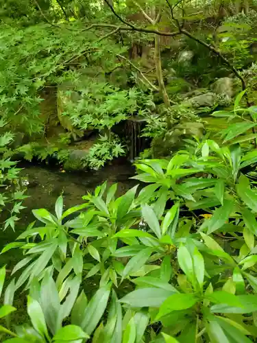 光明寺瑠璃光院(京都府)
