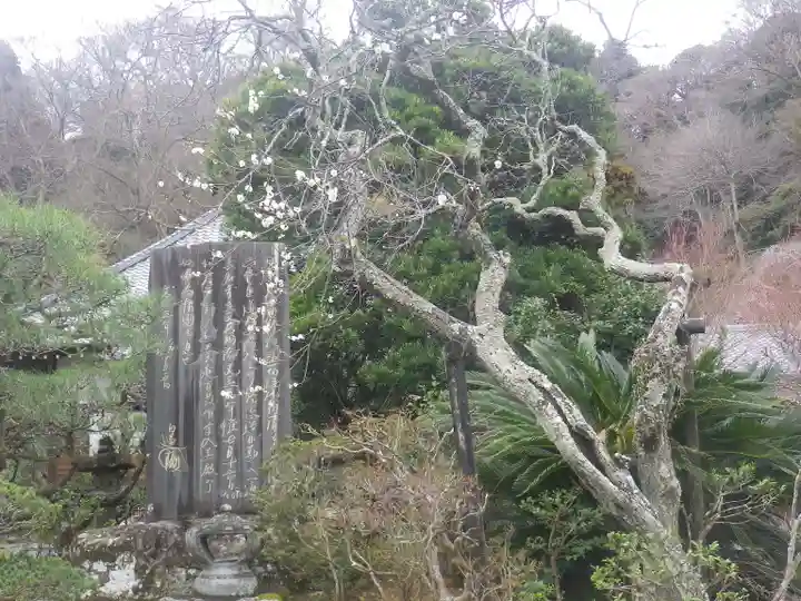 光則寺のその他建物