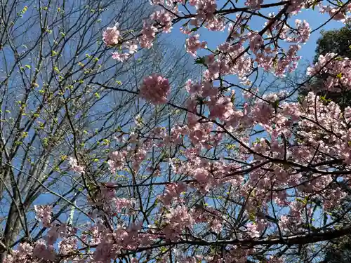 靜岡縣護國神社(静岡県)