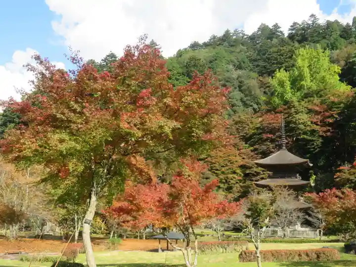 金剛院のその他建物
