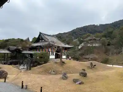 高台寺(高台寿聖禅寺・高臺寺)(京都府)