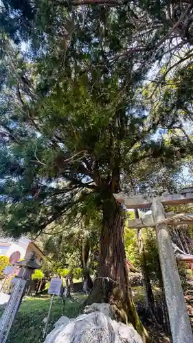 都々古和氣神社(京都府)
