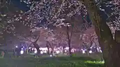 平野神社の自然