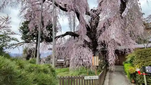 慈雲寺(山梨県)