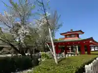 芸能神社の{uncategorized: "未分類", other: "その他", undefined: "問題あり", building: "その他建物", grave: "お墓", sacred_gate: "鳥居", guardian: "狛犬", statue: "像", buddha: "仏像", history: "歴史", nature: "自然", garden: "庭園", animal: "動物", pagoda: "塔", temizu: "手水舎", mountain_gate: "山門・神門", sanctuary: "本殿・本堂", subordinate: "末社・摂社", art: "芸術", scenery: "景色", jizo: "地蔵", ema: "絵馬", goshuin: "御朱印", omikuji: "おみくじ", items: "授与品その他", amulet: "お守り", goshuincho: "御朱印帳", eats: "食事", festival: "お祭り", votive_dance: "神楽", shichigosan: "七五三参", wedding: "結婚式", experience: "体験その他", initially: "初詣", around: "周辺", anti_infection: "感染症対策"}