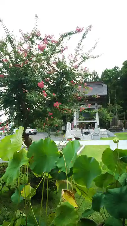 本山 久昌寺の自然