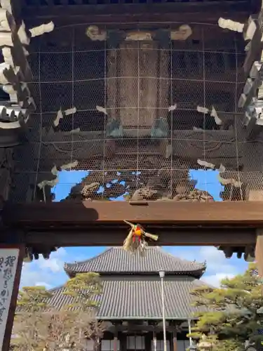 十輪寺の山門・神門