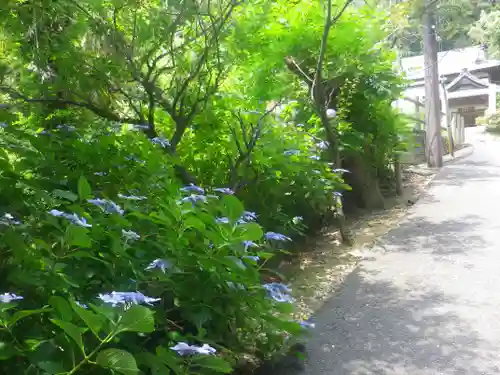 法性寺のその他建物