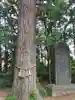 鹿嶋神社の自然